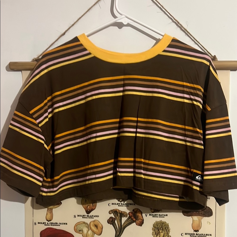 Striped Brown Crop Top
